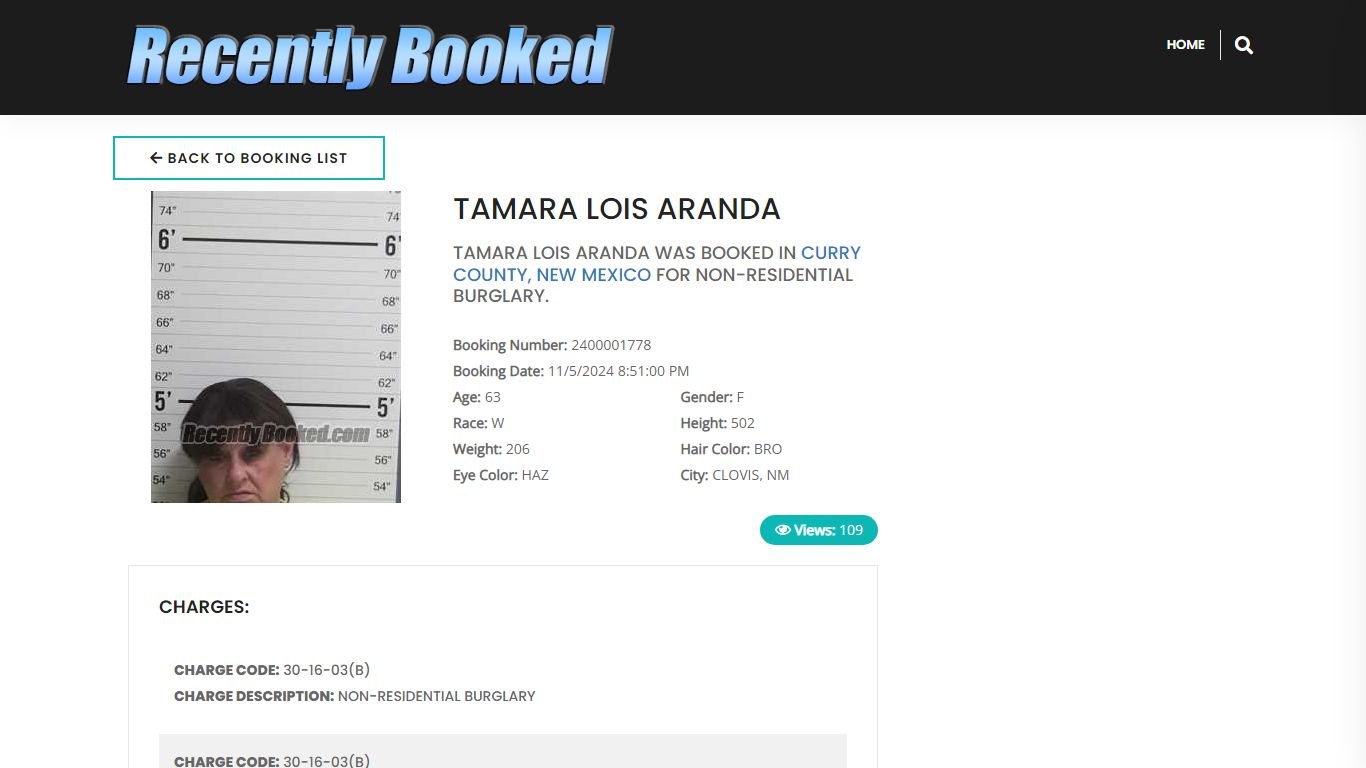 Recent Booking / Mugshot for TAMARA LOIS ARANDA in Curry County, New Mexico